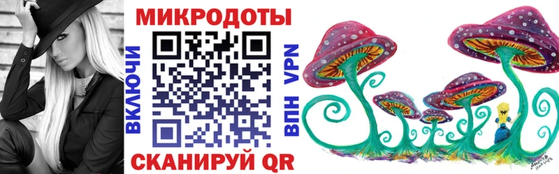 где купить наркотик  Снежногорск  Псилоцибиновые грибы Psilocybine cubensis 